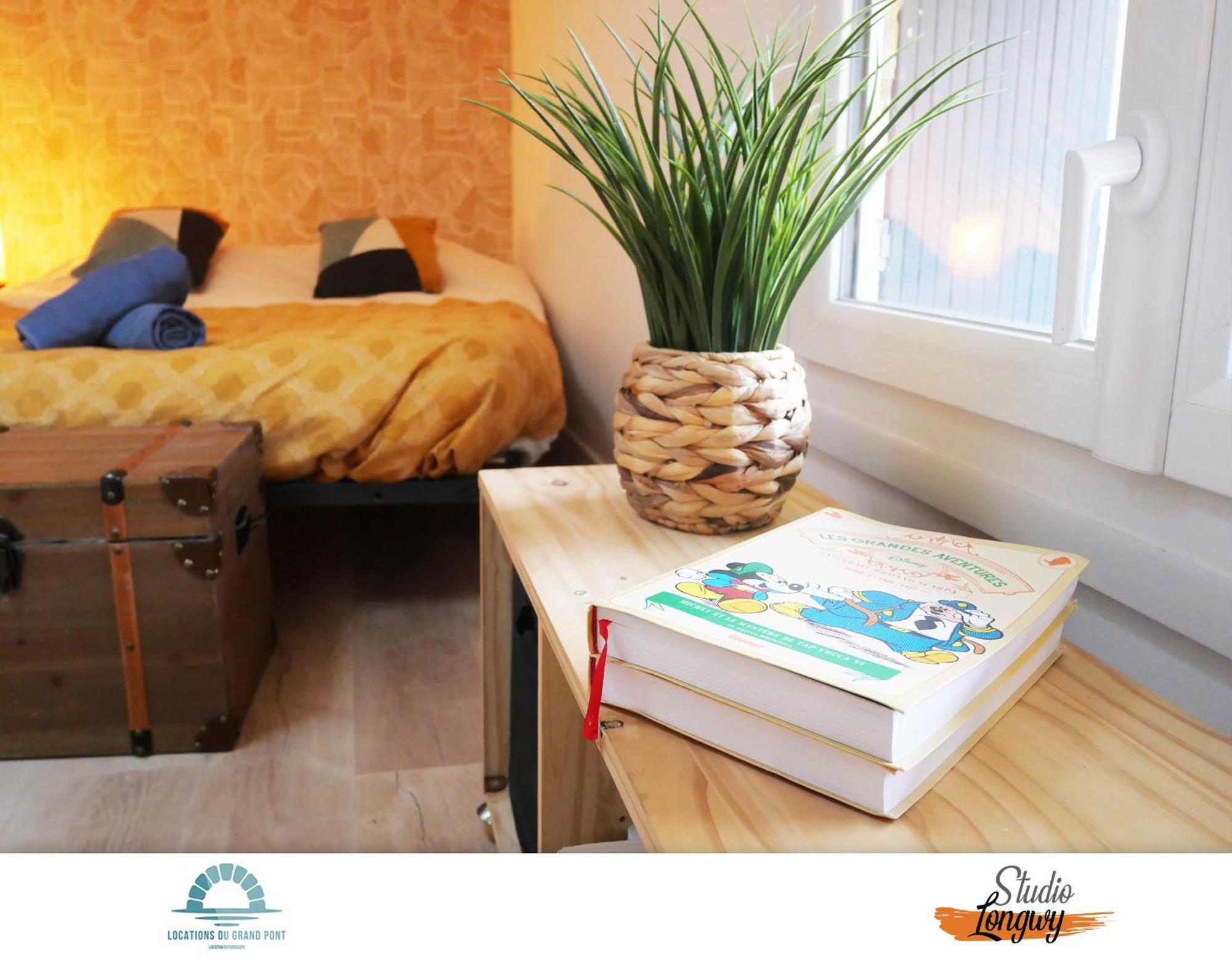 Locations Du Grand Pont - Appart Hotel Poitiers - Futuroscope 沙斯讷伊迪普瓦图 外观 照片